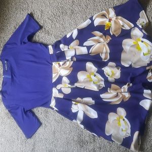 Blue and Tan Floral Swing Dress
